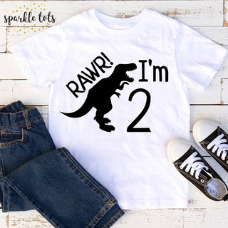 dinosaur birthday shirt, boys birthday top