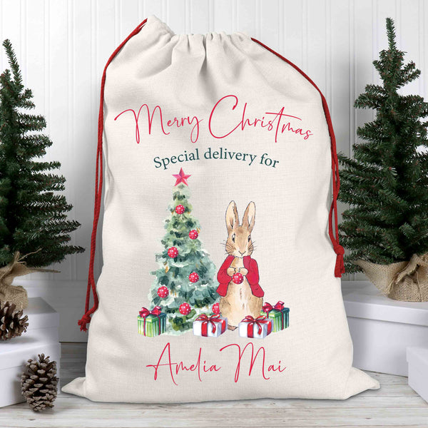 Peter rabbit Christmas sack